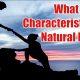Characteristics of Natural Leader