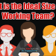 What is the ideal team size